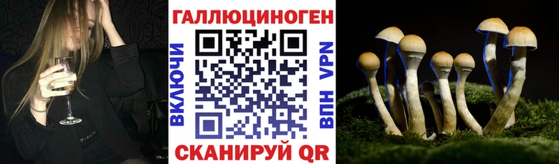 Псилоцибиновые грибы MAGIC MUSHROOMS mega ССЫЛКА Пласт купить