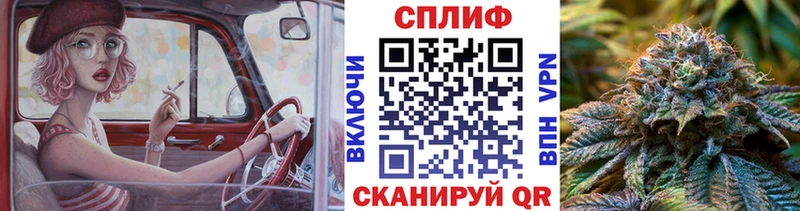 Марихуана гибрид  Пласт 